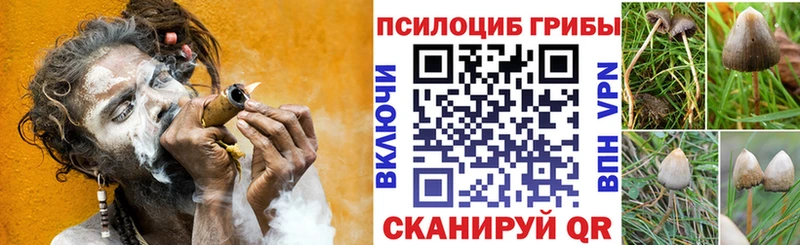 Галлюциногенные грибы мухоморы  Нижнеудинск 